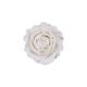 Gumpaste Ranunculus White