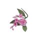 Gumpaste Rose Stephanotis Spray Pink