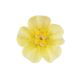 Royal Icing Petunia Yellow