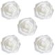 Foam Rose White 5 pc