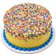 Rainbow Party Fusion Sprinkles 3 oz