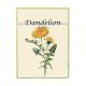 Dandelion Wine Labels 30 pieces