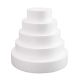 12x2 Round Cake Dummy