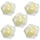 Foam Rose Ivory 5 pc