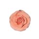 Gumpaste 3 inch Peach Rose